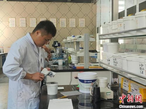 科技破浪，豫企远航 河南民营企业创新出海之路